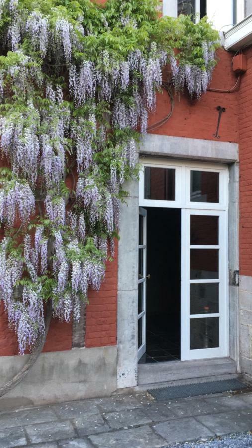 Chambre D'Hotes Les Augustins - Parking Securise - Borne De Recharge Huy Exteriör bild